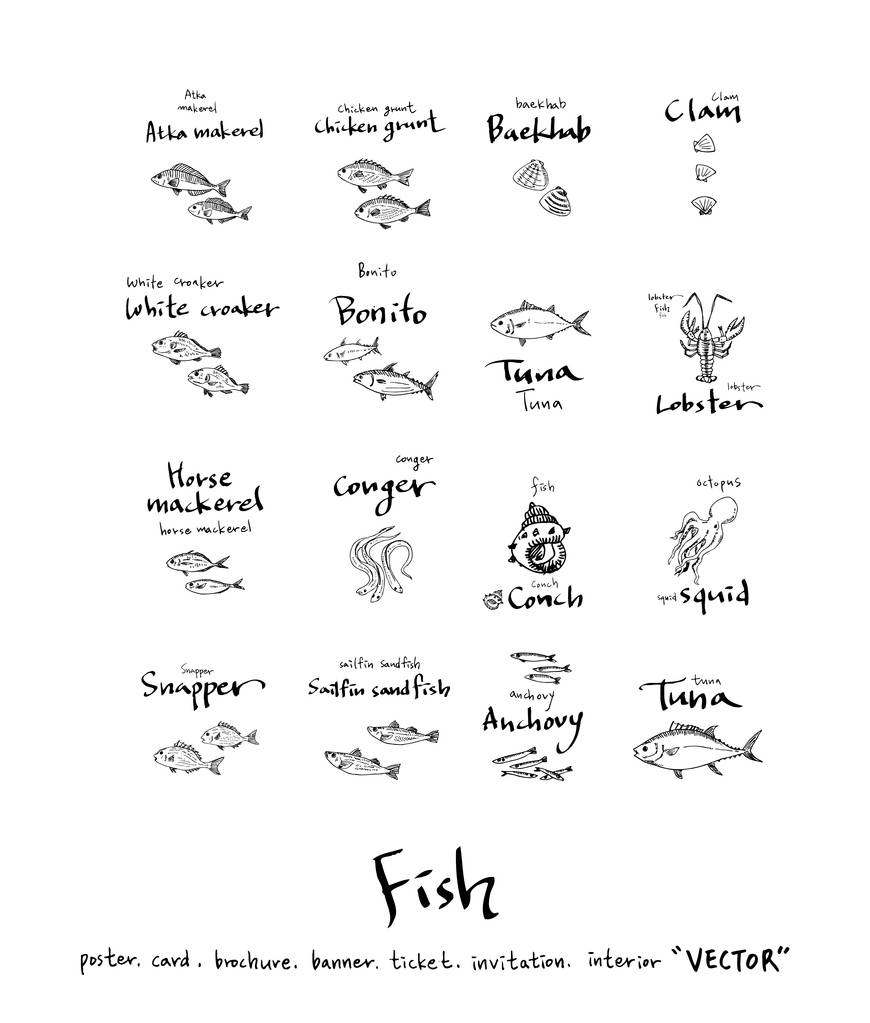 Ingredienti alimentari disegnati a mano / illustrazioni di frutti di mare - vettore
 - Vettoriali, immagini