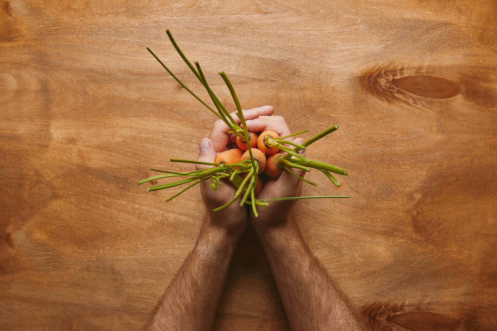 Мужские руки держат кучу моркови на деревянном столе
 - Фото, изображение
