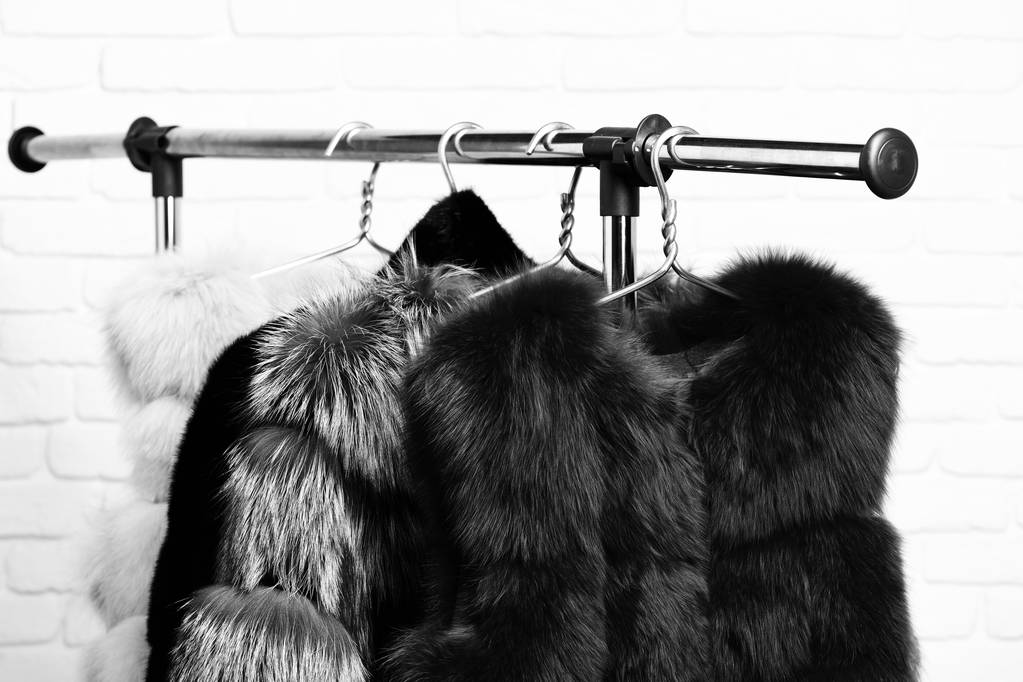 fashionable luxurious waist coats of fur hanging on rack on golden hangers on brick wall studio background. - Photo, Image