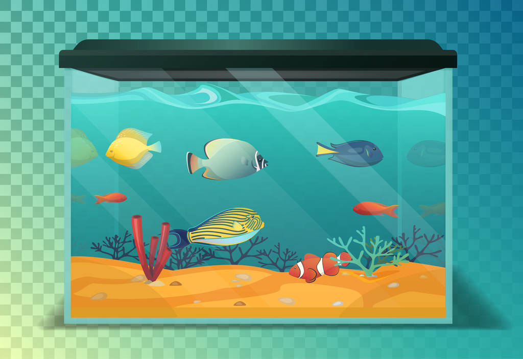 Aquário ou aquário de vidro, peixes tropicais
 - Vetor, Imagem