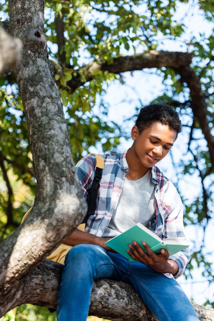 Widok z dołu koncentratu Nastolatka student czytaniu książki pod drzewem - Zdjęcie, obraz