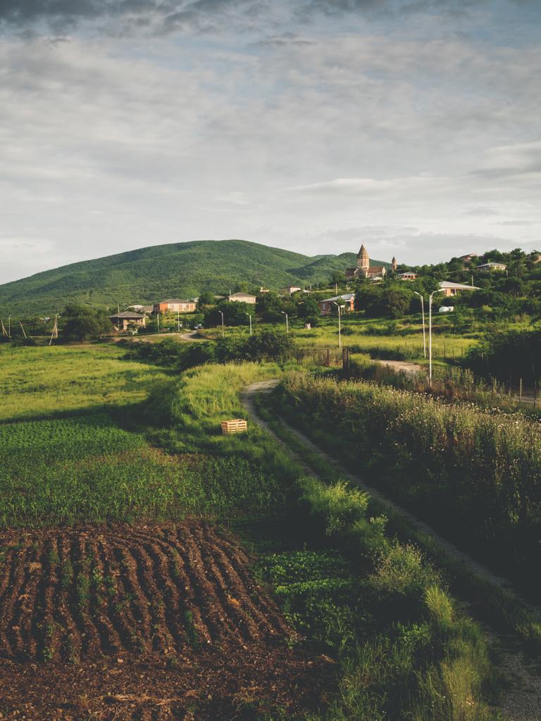 στις καταπράσινες πεδιάδες και τους λόφους κοντά στο χωριό στη γεωργία - Φωτογραφία, εικόνα