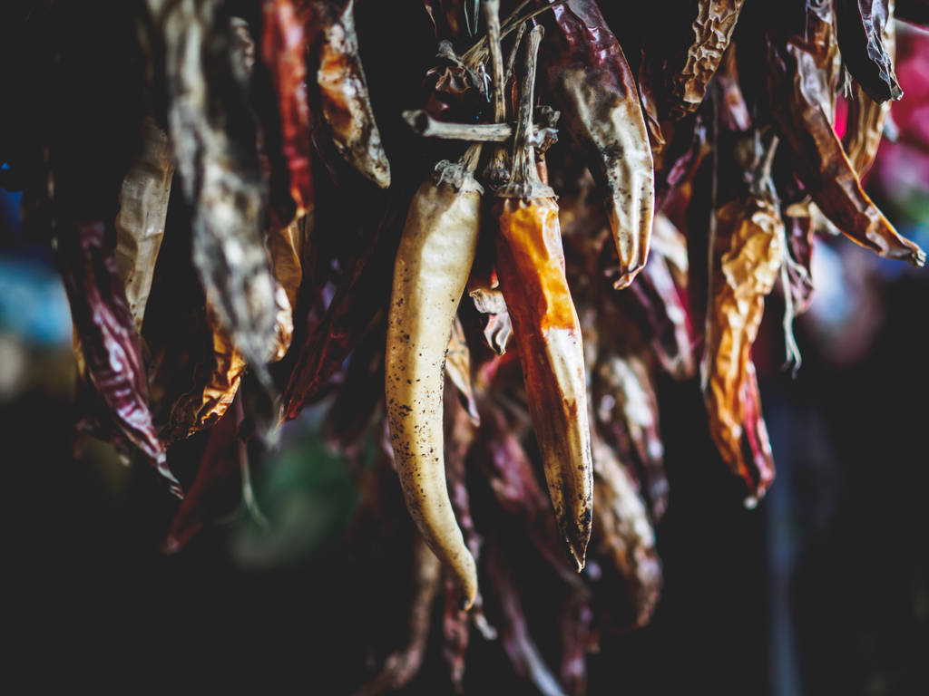 eri kuivatut orgaaniset chili paprikat roikkuvat langat georgian markkinoilla
 - Valokuva, kuva