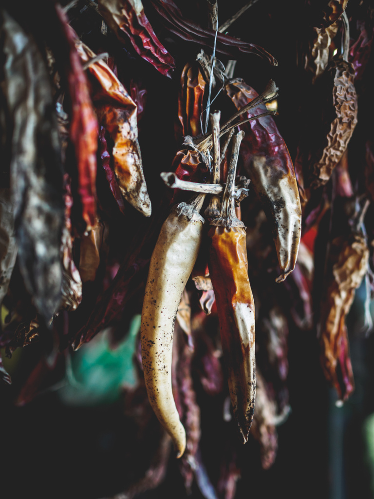 georgialaisilla markkinoilla langoista riippuvien kuivattujen orgaanisten chilien valikoiva keskittyminen
 - Valokuva, kuva