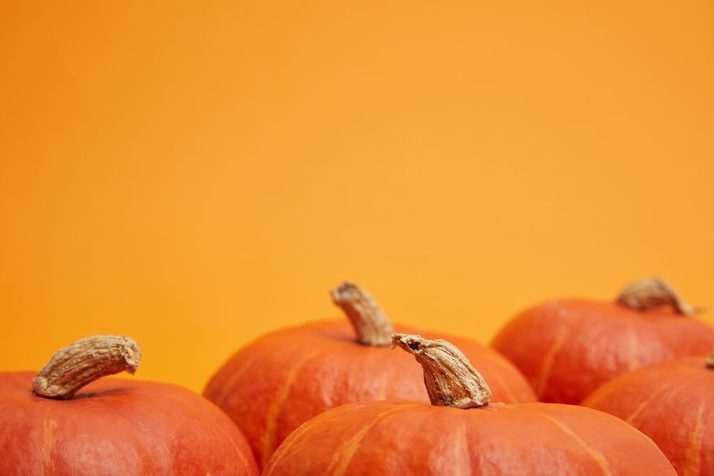 pile of fresh ripe pumpkins isolated on orange background  - Photo, Image