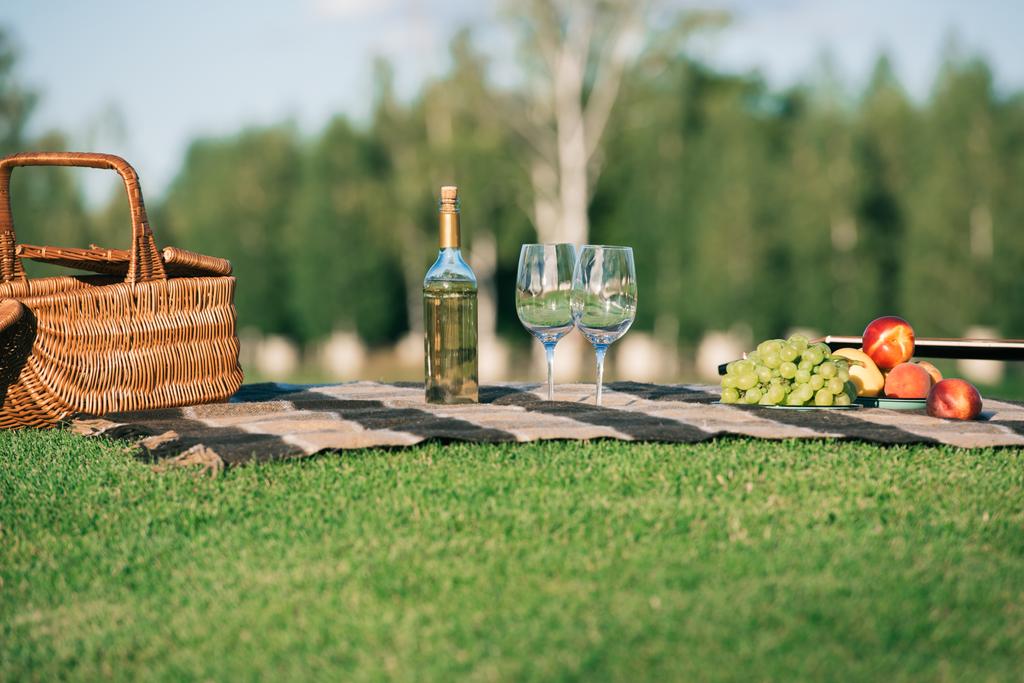 picnic con bicchieri, bottiglia di vino bianco, frutta e cesto di vimini su coperta su erba
 - Foto, immagini