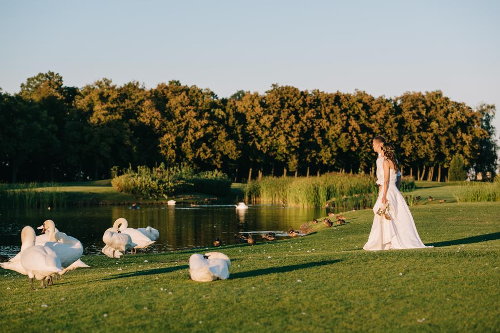 giovane coppia di nozze in piedi vicino al lago e guardando bellissimi cigni
 - Foto, immagini