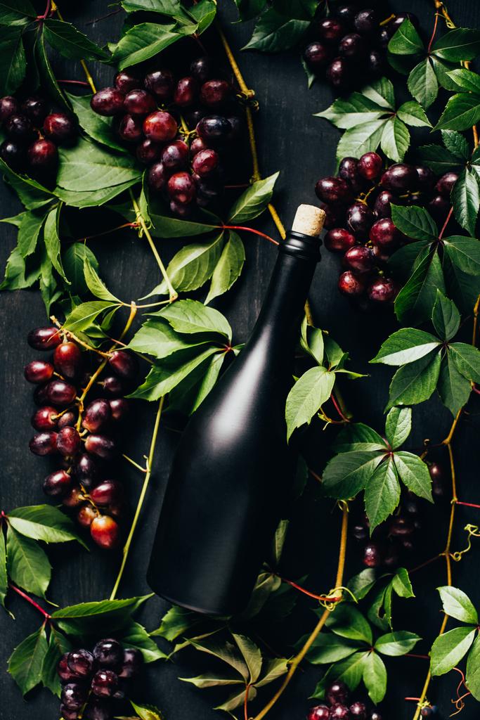 top view of fresh ripe grapes, green leaves and bottle of wine on black wooden surface - Photo, Image