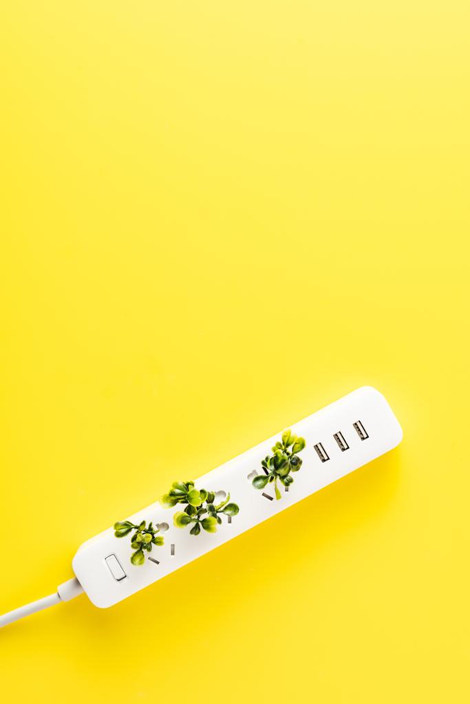 bovenaanzicht van wandcontactdoos met twijgen op gele achtergrond, groene energieconcept  - Foto, afbeelding