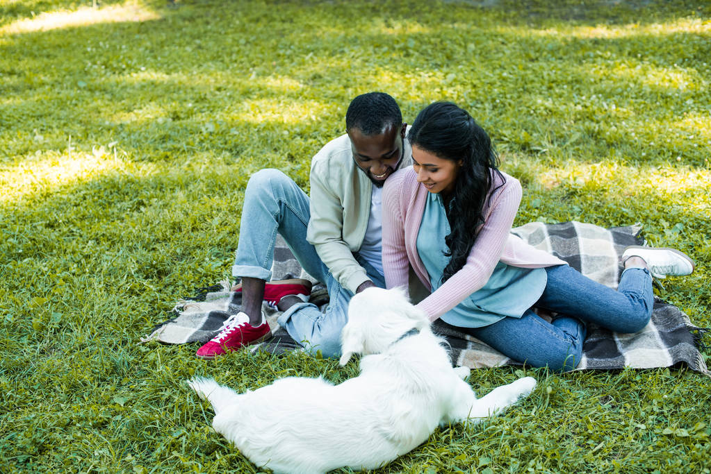 african american couple sitting on blanket in park and looking at dog - Photo, Image
