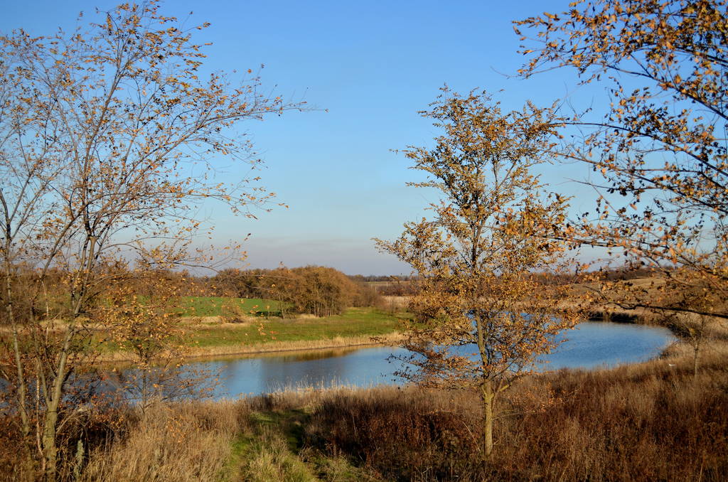 青空の下の草原の川で、前景にヘイズ、緑の草原、秋の木々が植えられています。 - 写真・画像