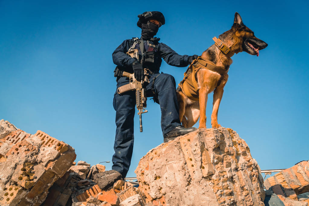 Cynologist. Eğitimli bir çoban köpeği ile askeri giysili bir adam - Fotoğraf, Görsel