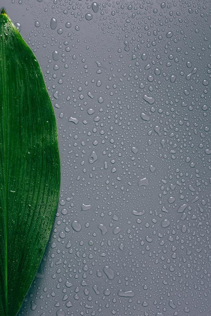 κάτοψη του πράσινου φύλλου με νερό πέφτει σε γκρίζο φόντο - Φωτογραφία, εικόνα