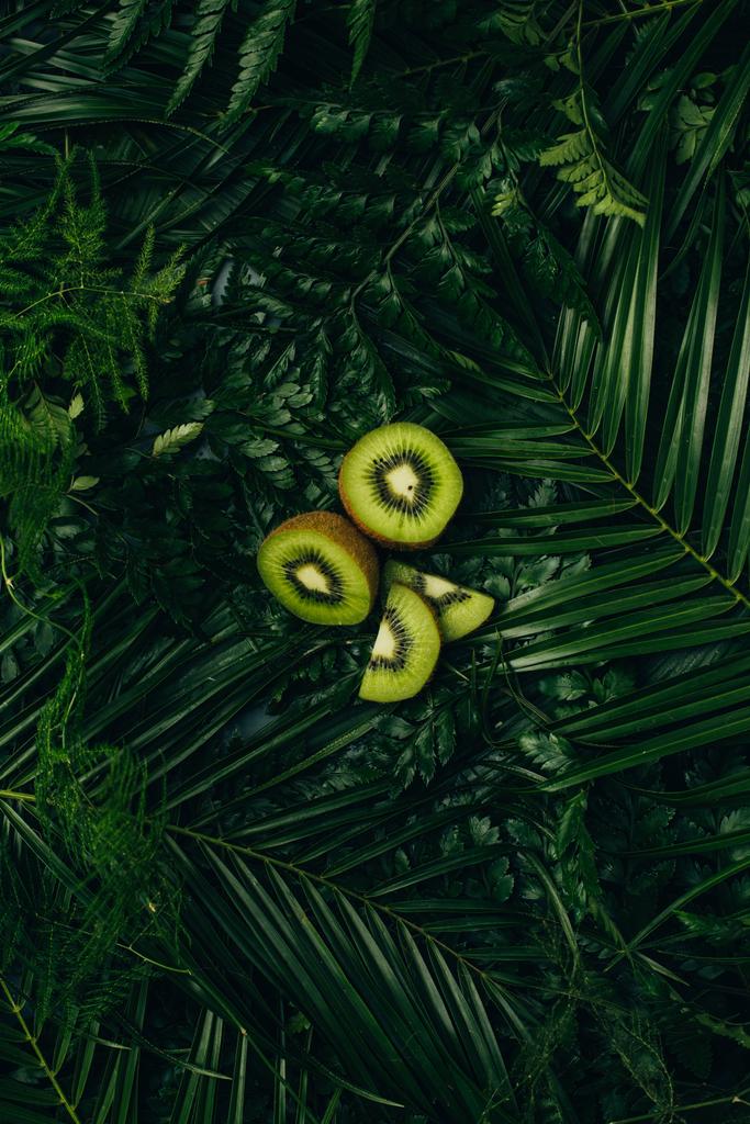 Blick von oben auf frische Kiwi-Scheiben auf grünen Palmblättern - Foto, Bild