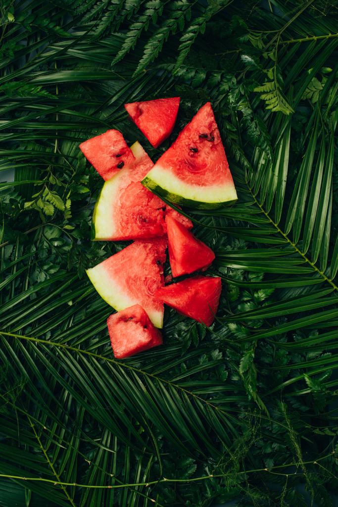 pohled shora červený meloun plátky na tmavě zelené palm listy - Fotografie, Obrázek