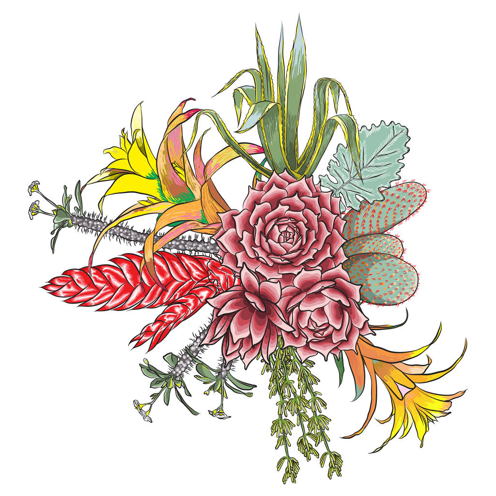 エキゾチックな花束のセットです。花。様々 な植物と花のコレクション。サンセベリア、チトセラン、レッド ジンジャー、ダチョウの羽根飾り、ピンクのコーン、デイジー、バラ。手描きのイラスト。ベクトル. - ベクター画像