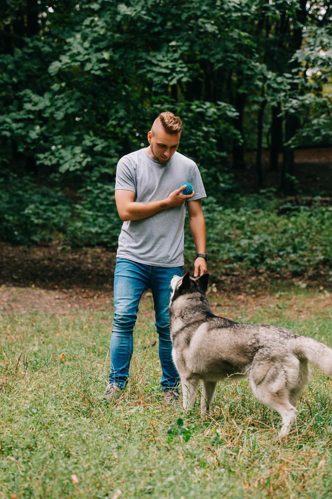 hombre guapo jugando pelota con perro husky siberiano en el parque
 - Foto, imagen