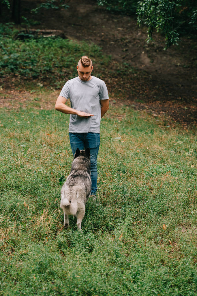 cinologo e husky cane formazione stand comando con gesto della mano
 - Foto, immagini