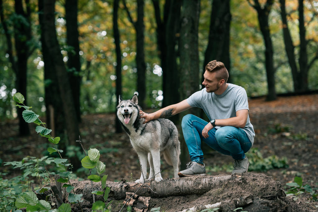yeşil orman husky köpek ile yürüyen genç adam - Fotoğraf, Görsel