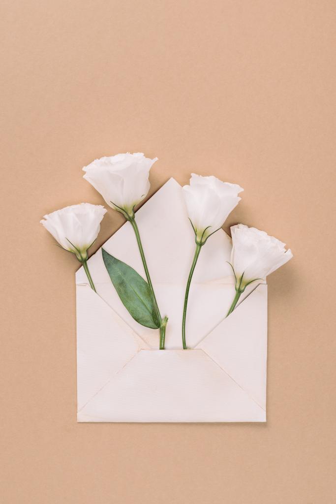 Felülnézet borítékban fehér eustoma virágok, bézs háttér - Fotó, kép