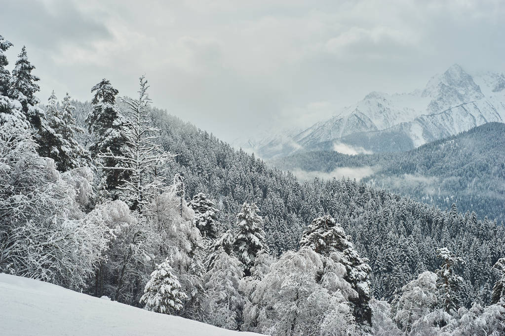 Sneeuw bedekt dennenbomen op de achtergrond van bergtoppen. Panoramisch uitzicht op het pittoreske besneeuwde winterlandschap. Geruisloos en prachtige zonnige dag. - Foto, afbeelding