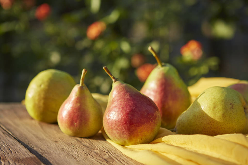 Päärynät. Kypsät tuoreet päärynät, puupöydällä, luonnon taustalla
 - Valokuva, kuva
