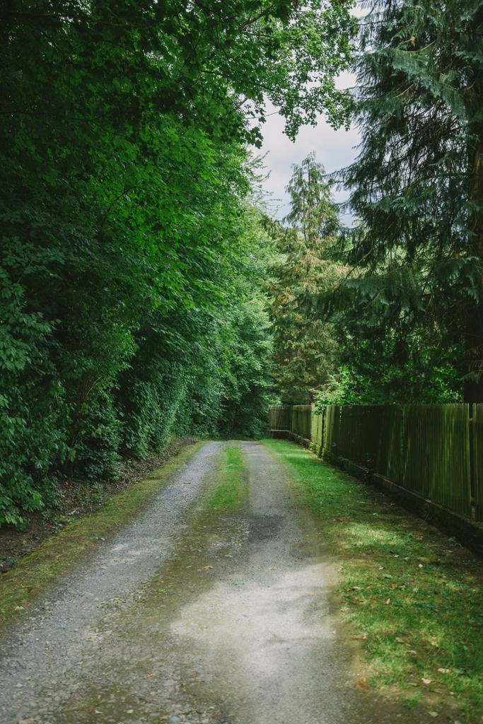 δρόμου κοντά στο φράχτη και πράσινα δέντρα Wurzburg, Γερμανία - Φωτογραφία, εικόνα