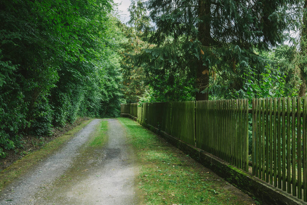 木製のフェンスとドイツ、ヴュルツブルクの木の近くの田舎道 - 写真・画像