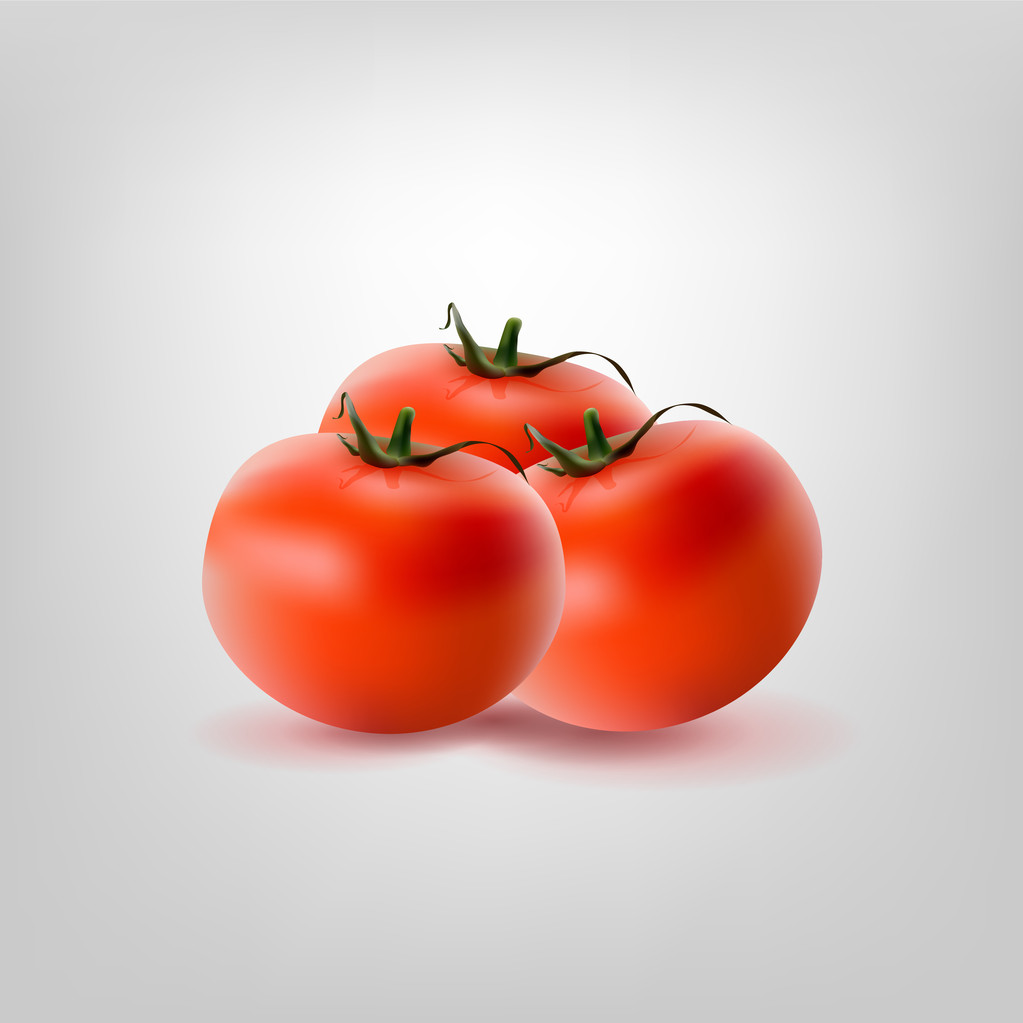 Three vector tomatoes,  vector illustration  - Vector, Image