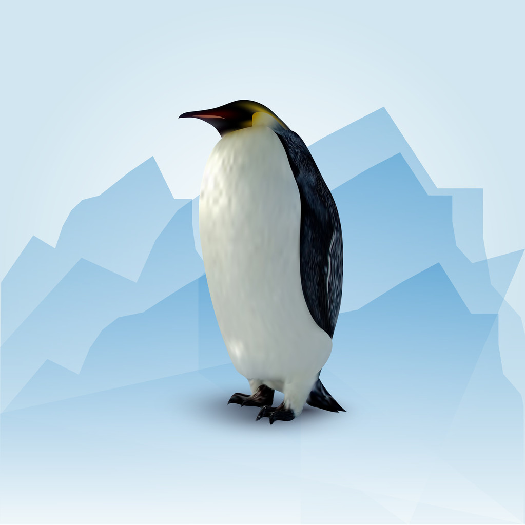 Vektorillustration des Pinguins - Vektor, Bild