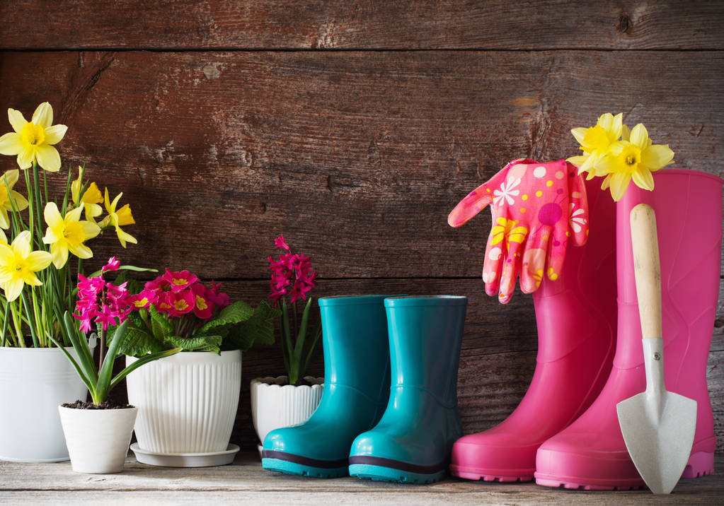 botas de goma y flores de primavera sobre fondo de madera
 - Foto, Imagen