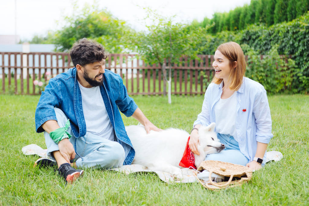 Młoda para kochających pikniku z ich biały husky - Zdjęcie, obraz