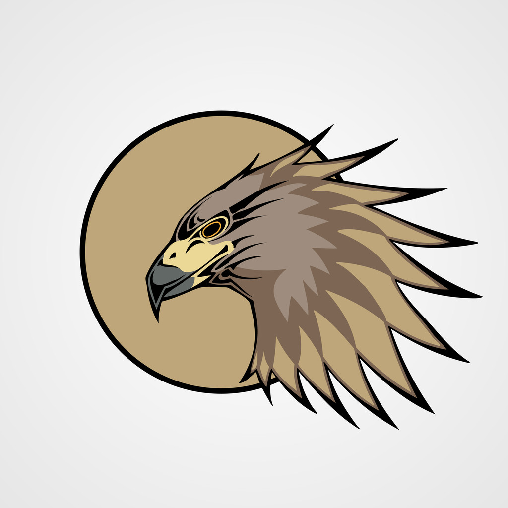 Cabeza de halcón, ilustración vectorial
 - Vector, Imagen