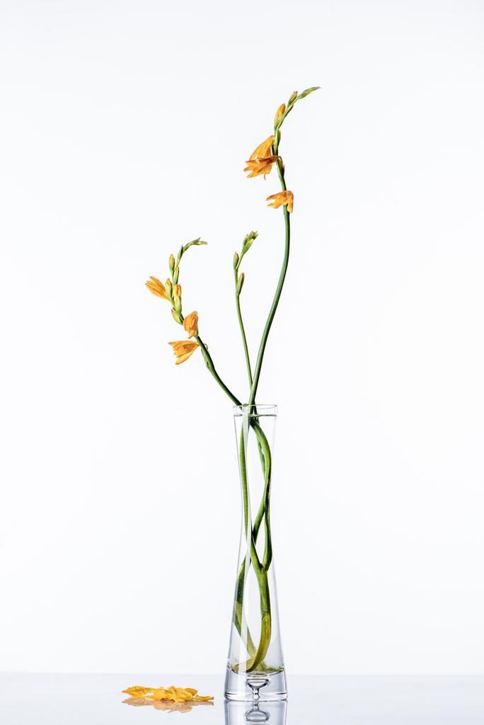 schöne orangefarbene Lilien an grünen Stielen in transparenter Vase und Blütenblätter auf weißer Oberfläche  - Foto, Bild