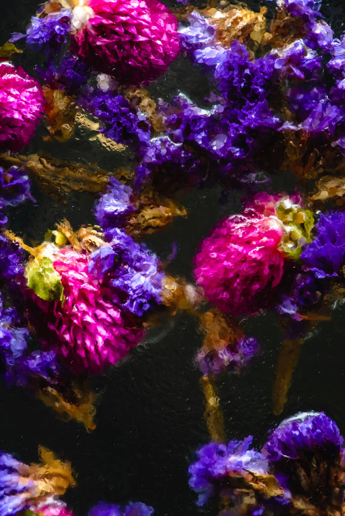 Detailní pohled malé modré a růžové květy ve vodě na černém pozadí   - Fotografie, Obrázek