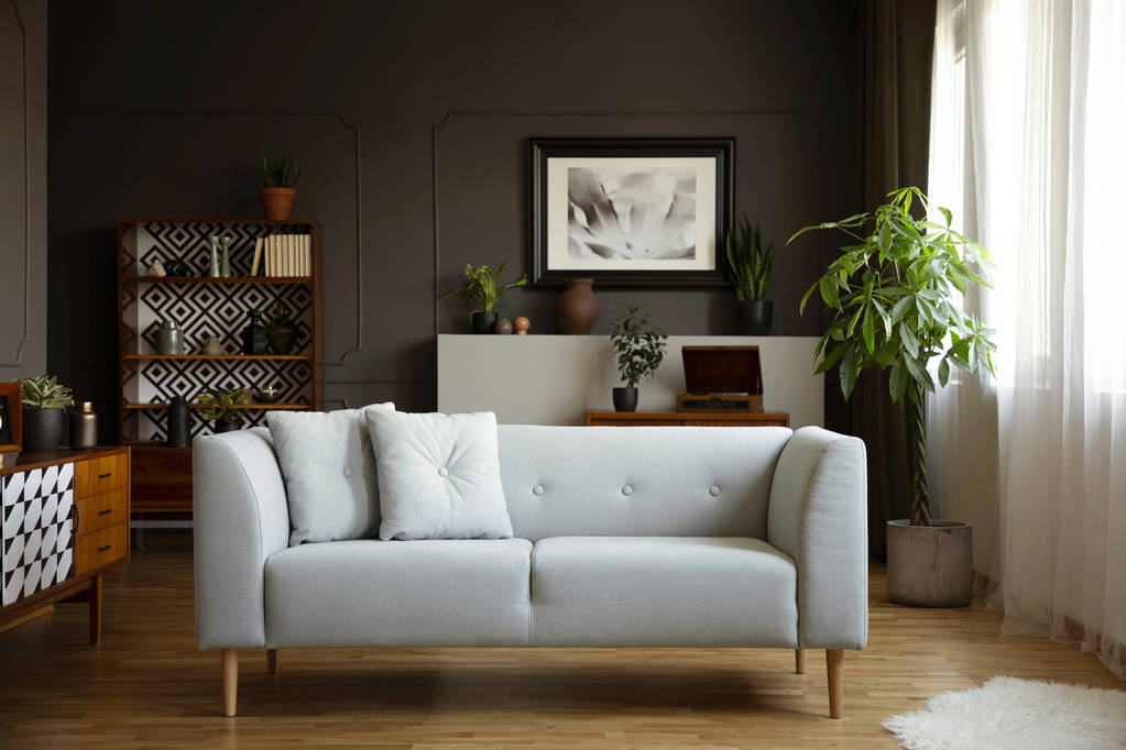 Sofá gris con almohadas en el interior luminoso salón vintage con plantas y póster. Foto real
 - Foto, imagen