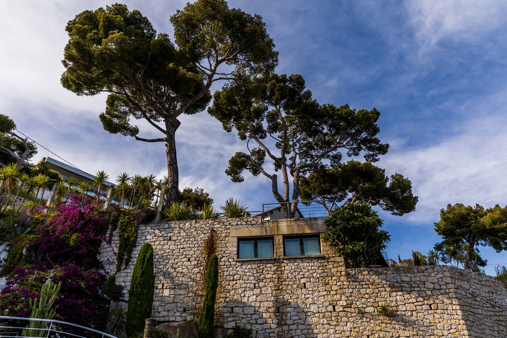 美しい伝統的な建築とプロヴァンス、フランスの背の高い木々 の低角度のビュー - 写真・画像
