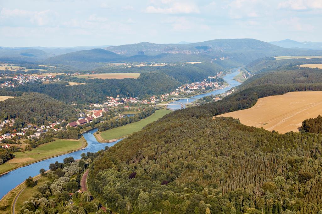 Erdő - Fotó, kép