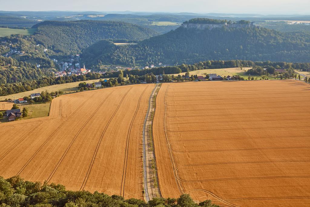 悪い・ シャンダウ、ドイツの収穫と美しいオレンジ フィールド間の道路の空撮 - 写真・画像