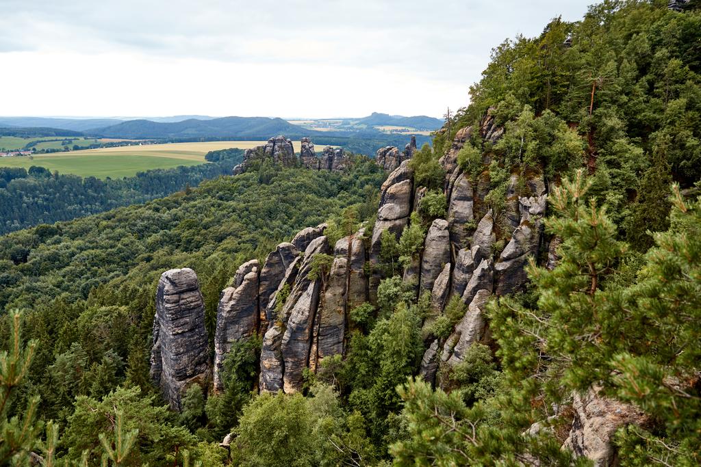 hermoso paisaje con rocas viejas y bosque en Bastei, Alemania
 - Foto, Imagen