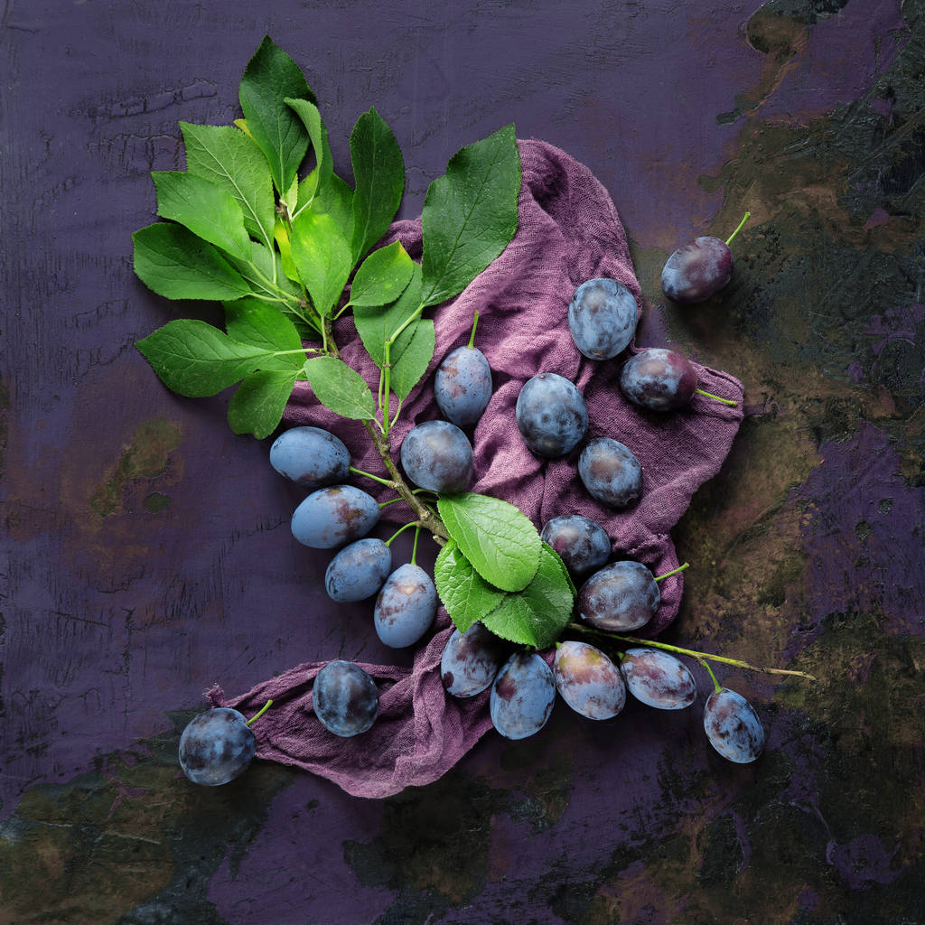 fresh, tasty plums on a branch from the garden, decorated on violet purple background with leaves - Photo, Image