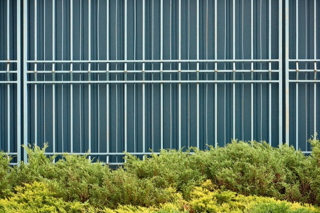 recinzione e erba verde con cespugli, sfondo strutturato
 - Foto, immagini
