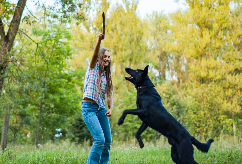 jovem adolescente jogar com um cão pastor no parque ao ar livre
 - Foto, Imagem