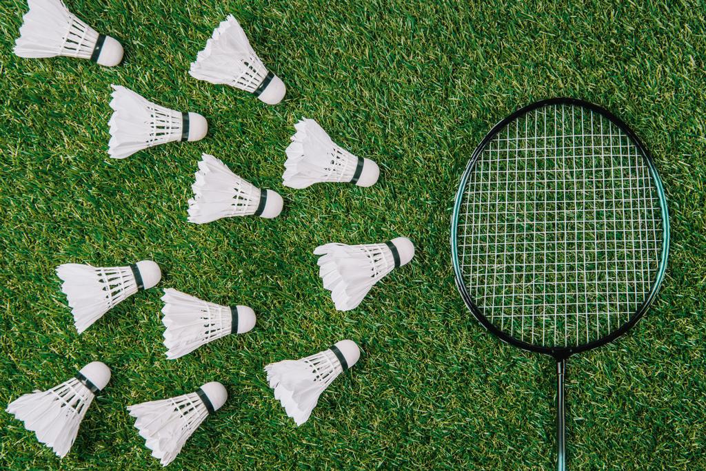 flat lay with badminton racket and white shuttlecocks on green lawn - Photo, Image