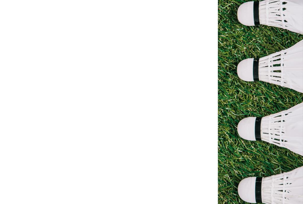 vue de dessus des navettes blanches disposées sur l'herbe verte avec espace de copie blanc
 - Photo, image