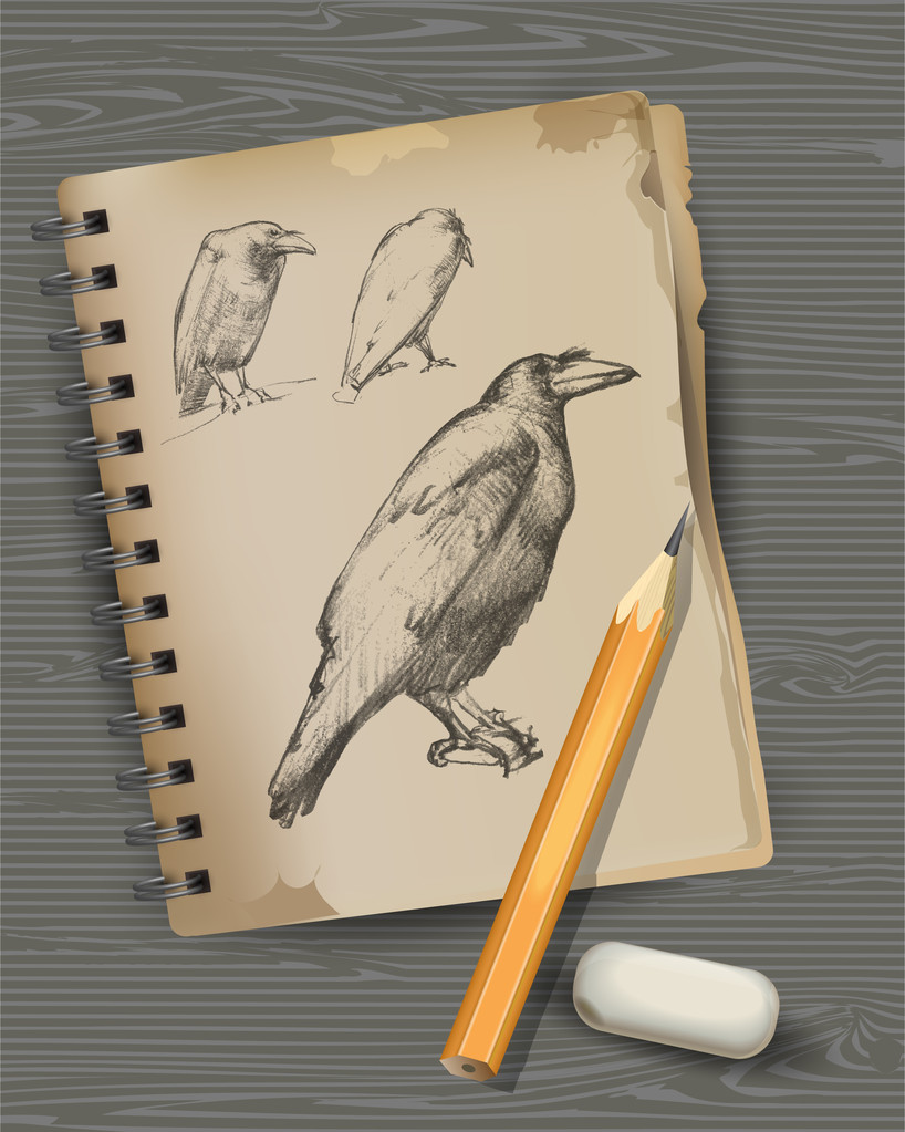 Desenho de corvo, lápis, borracha
. - Vetor, Imagem