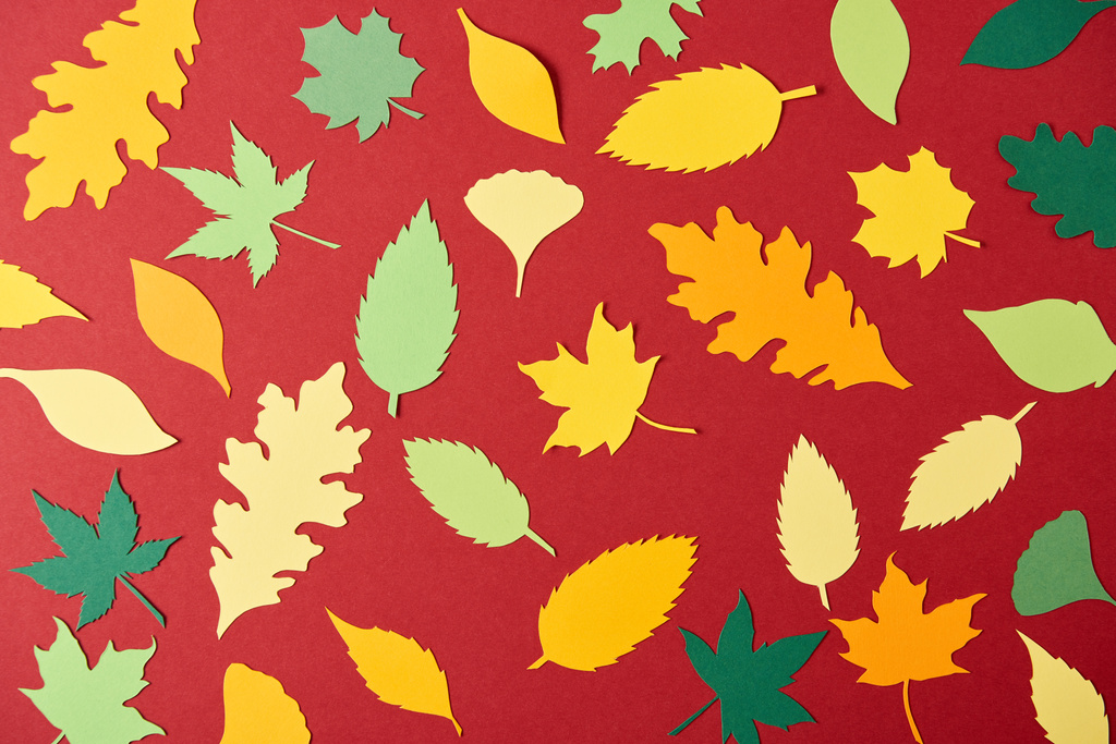 flat lay with colorful papercrafted leaves arrangement on red background - Photo, Image