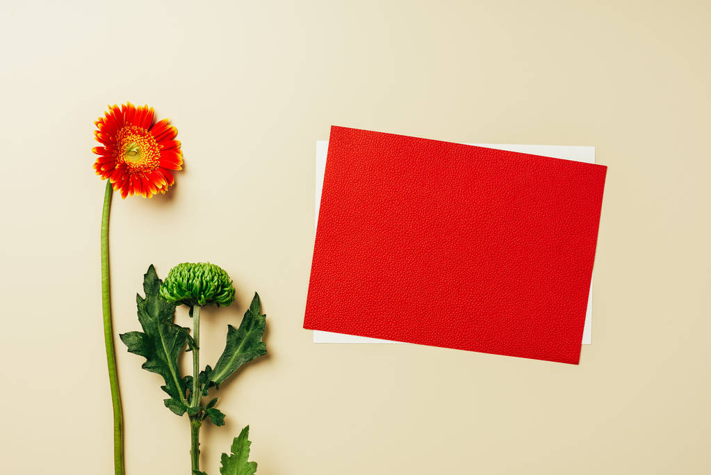 tendido plano con arreglo de tarjetas en blanco y rojo, hermosas flores de gerberas y crisantemos sobre fondo beige
 - Foto, Imagen