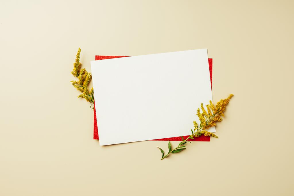 disposición plana con disposición de tarjetas en blanco y rojo y flores silvestres sobre fondo beige
 - Foto, imagen