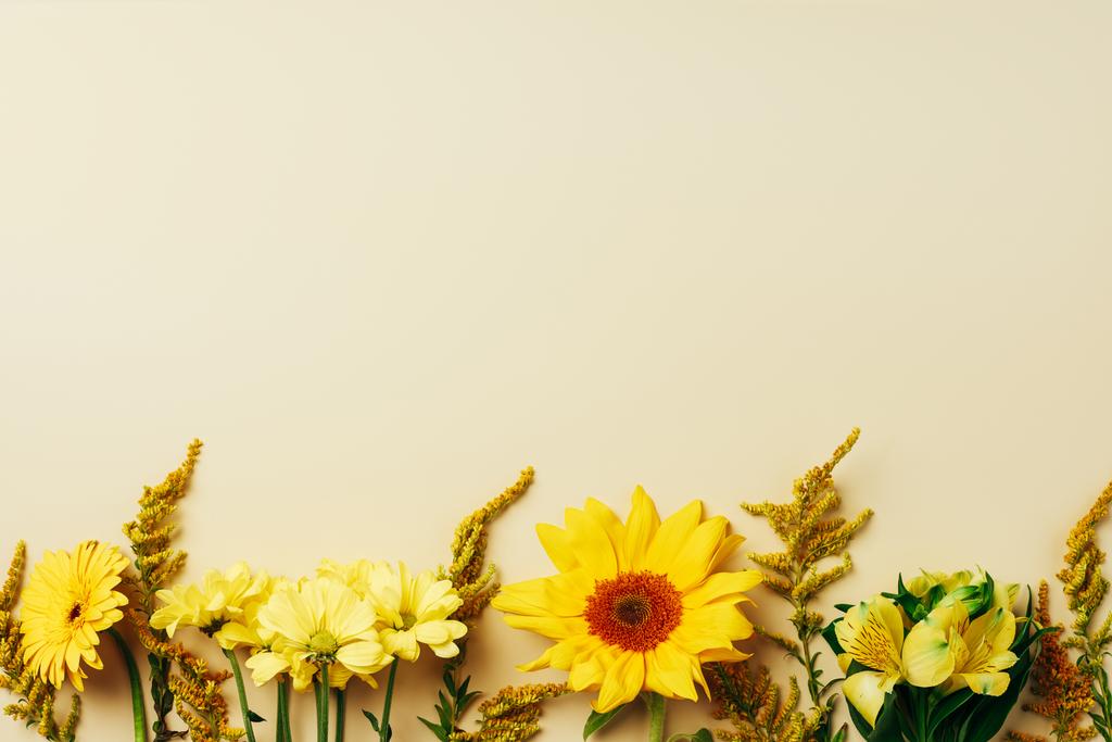 Плоская лежала с различными красивыми цветами на бежевом заднике
 - Фото, изображение
